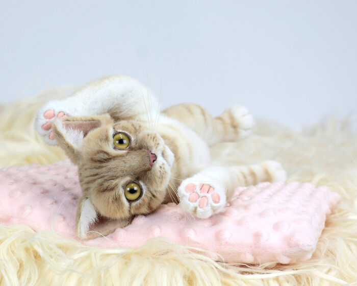 Discover The Magic: My Handcrafted Plush Kitten