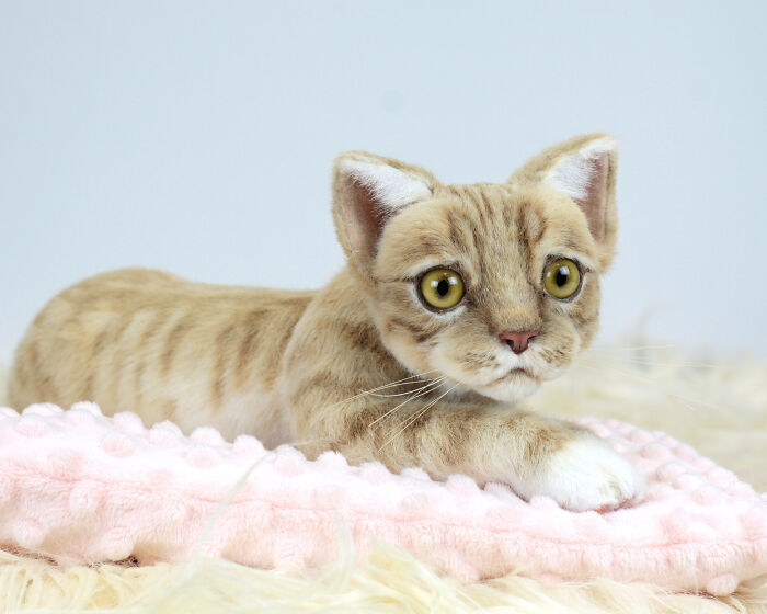 Discover The Magic: My Handcrafted Plush Kitten