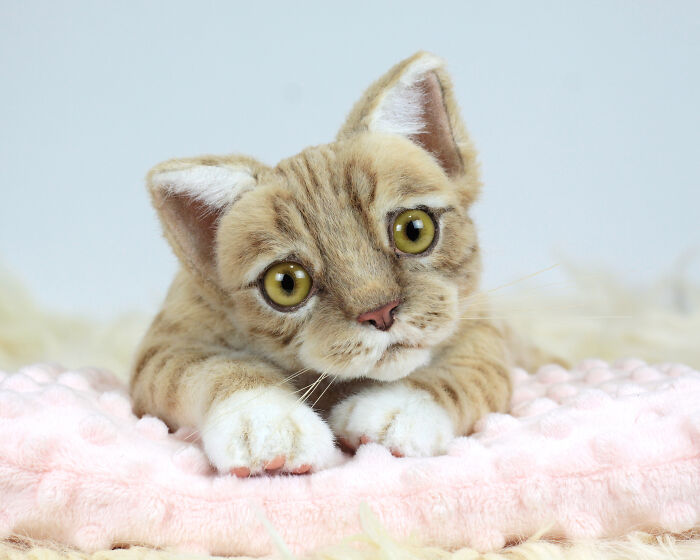 Discover The Magic: My Handcrafted Plush Kitten