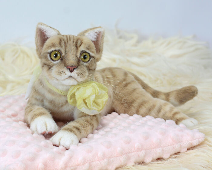 Discover The Magic: My Handcrafted Plush Kitten