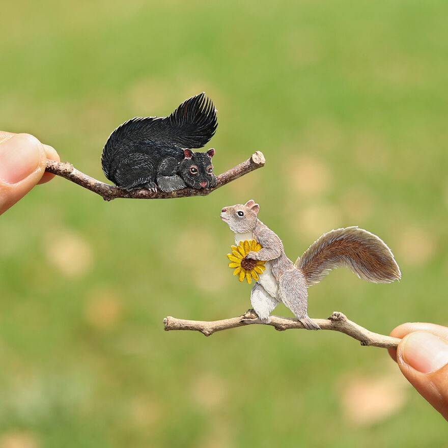 Eastern Grey Squirrel