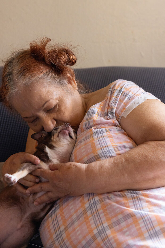 Volunteers Of Paws NY Help These People To Take Care Of Their Pets So That They Won&rsquo;t Get Separated