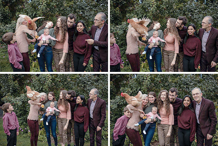 La gallina quería salir en la foto