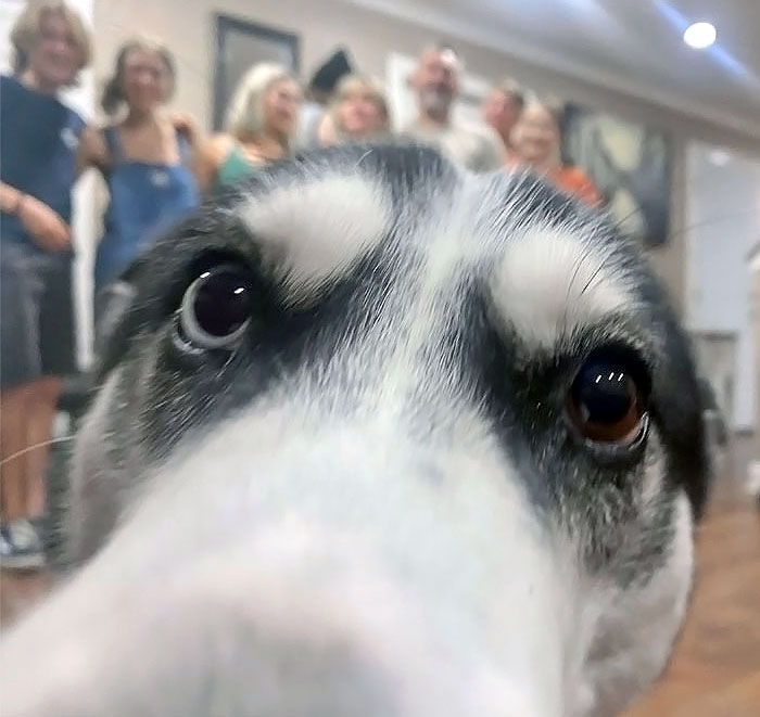 Someone Wanted To Be In The Family Picture