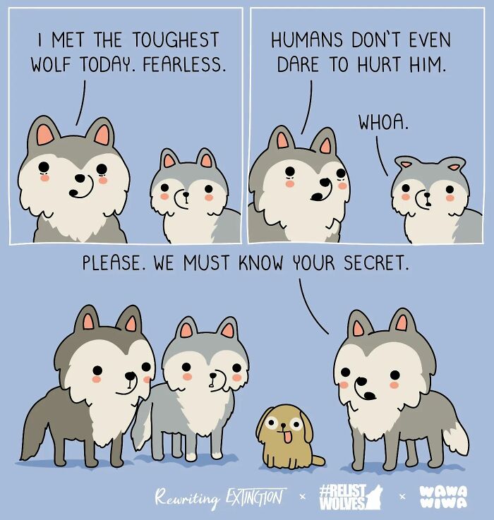 Here Are New Wawawiwa Comics To Make People Smile And Feel Good