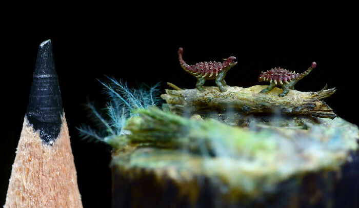 Ankylosaurs Fighting