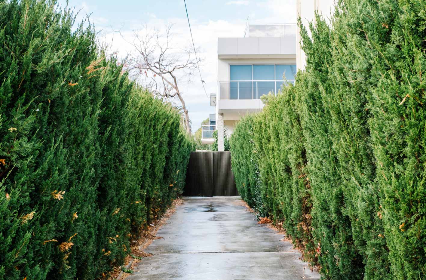 House with privacy trees