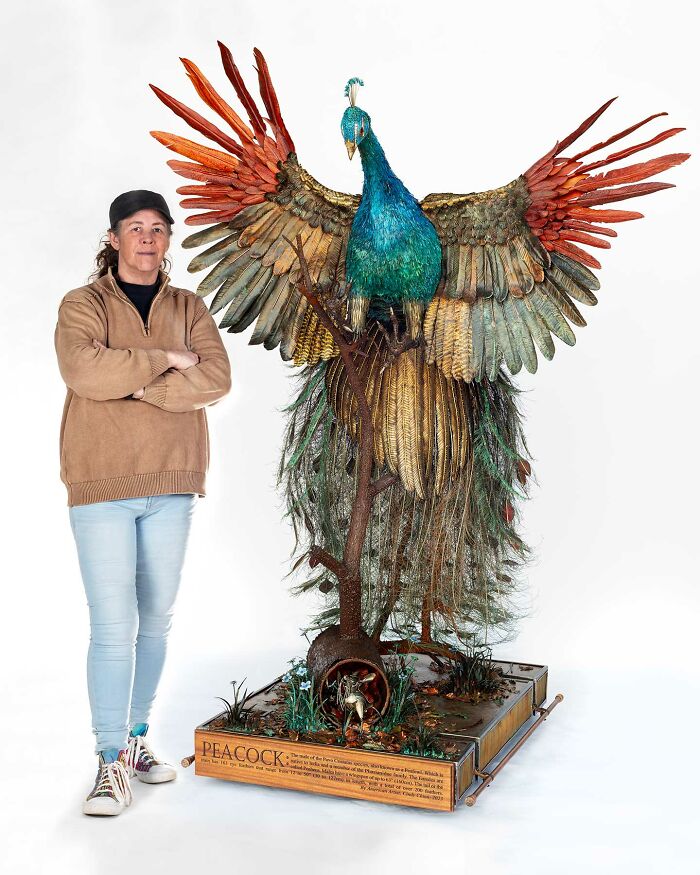 I Spent A Year Making This Life-Sized Peacock Sculpture One Feather At A Time