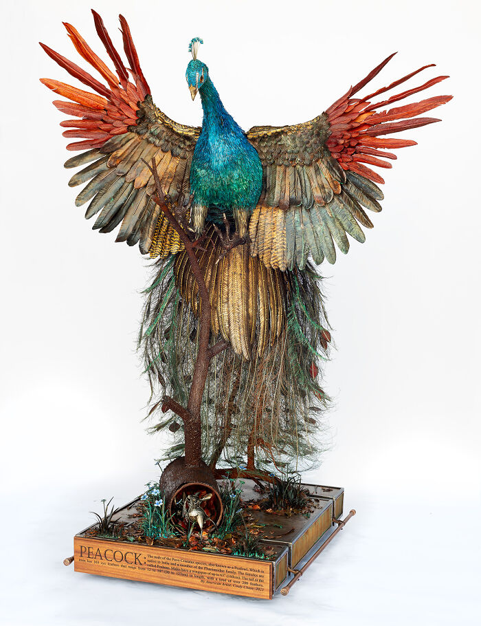 I Spent A Year Making This Life-Sized Peacock Sculpture One Feather At A Time