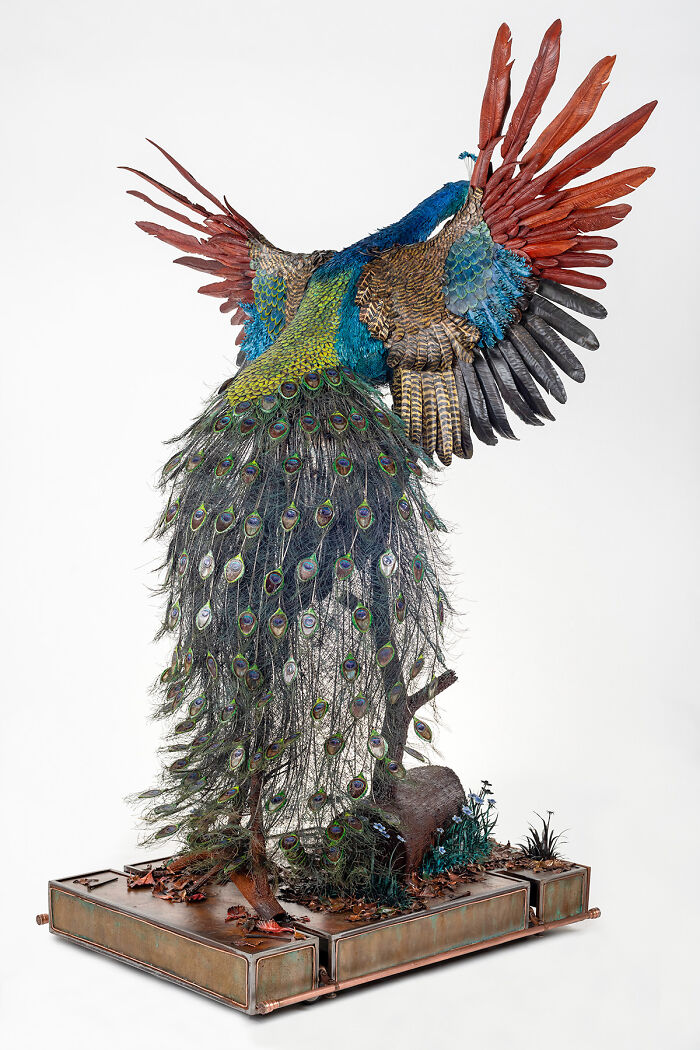 I Spent A Year Making This Life-Sized Peacock Sculpture One Feather At A Time