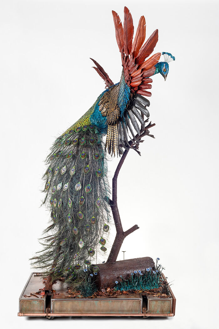 I Spent A Year Making This Life-Sized Peacock Sculpture One Feather At A Time