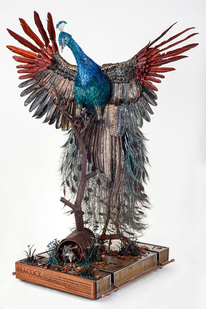 I Spent A Year Making This Life-Sized Peacock Sculpture One Feather At A Time
