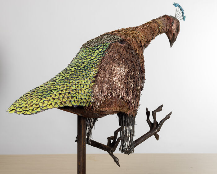 I Spent A Year Making This Life-Sized Peacock Sculpture One Feather At A Time