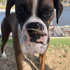 isaiahnguyen_1 avatar