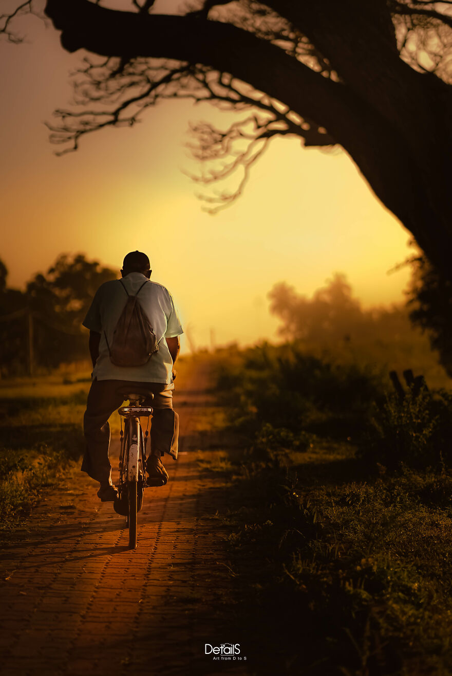 Morning Commute: Cycling To Work Along The Lakeside Road In Anuradhapura, Sri Lanka.