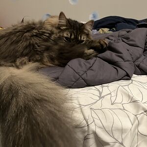 sabrinalouise1111 avatar