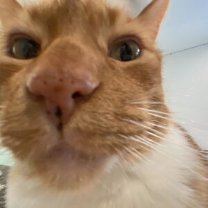 sydney_hansen avatar