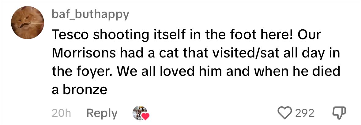 Yorkshire Tesco Cat Ban Backfires As People Threaten To Stop Shopping There If Cat Is Not Reinstated