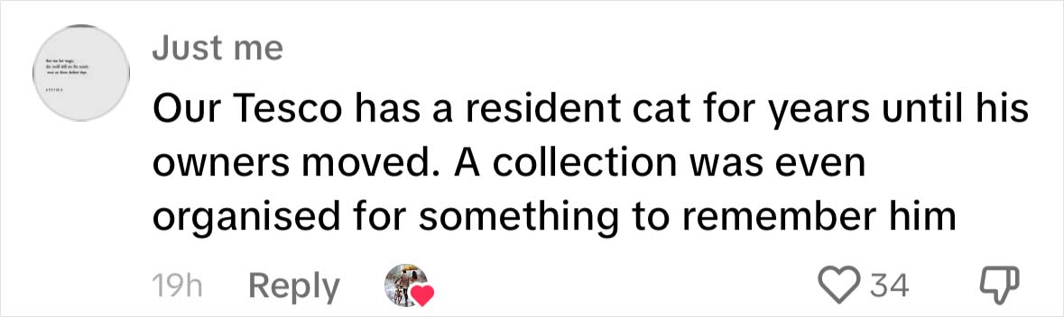 Yorkshire Tesco Cat Ban Backfires As People Threaten To Stop Shopping There If Cat Is Not Reinstated