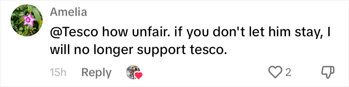 Yorkshire Tesco Cat Ban Backfires As People Threaten To Stop Shopping There If Cat Is Not Reinstated