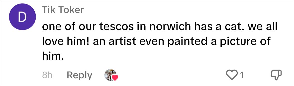 Yorkshire Tesco Cat Ban Backfires As People Threaten To Stop Shopping There If Cat Is Not Reinstated