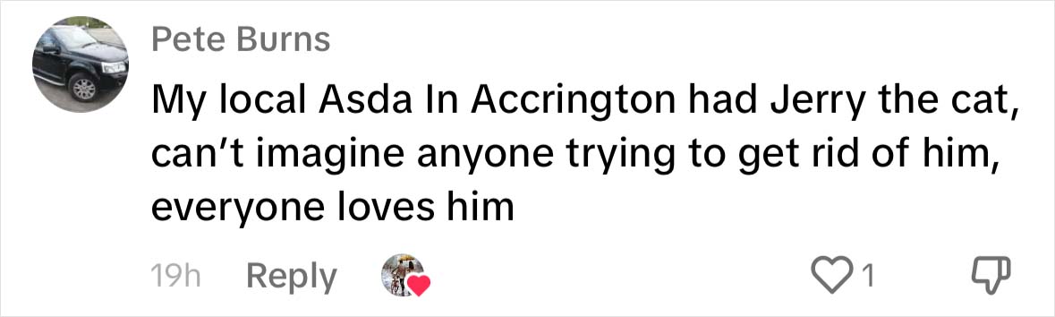 Yorkshire Tesco Cat Ban Backfires As People Threaten To Stop Shopping There If Cat Is Not Reinstated