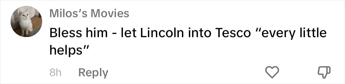 Yorkshire Tesco Cat Ban Backfires As People Threaten To Stop Shopping There If Cat Is Not Reinstated