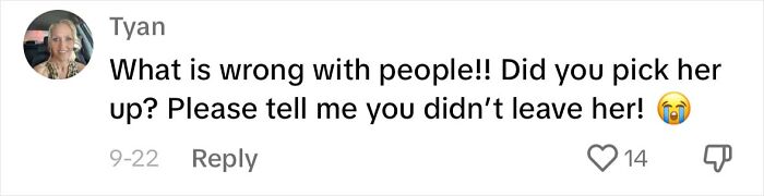 Meet Olivia, A Smart Pup Who Stopped Every Car In Traffic Asking For Help