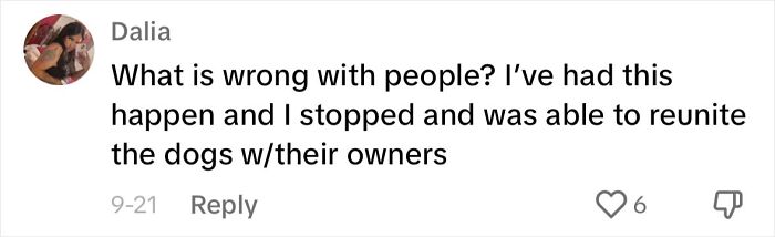 Meet Olivia, A Smart Pup Who Stopped Every Car In Traffic Asking For Help