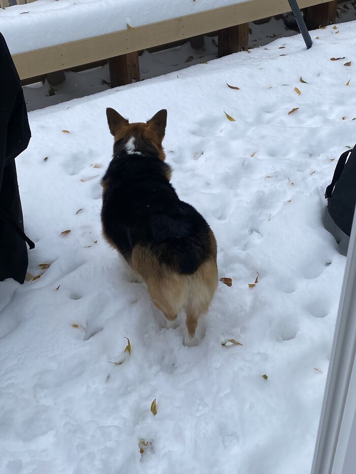 Molly Wondering What Happened In October