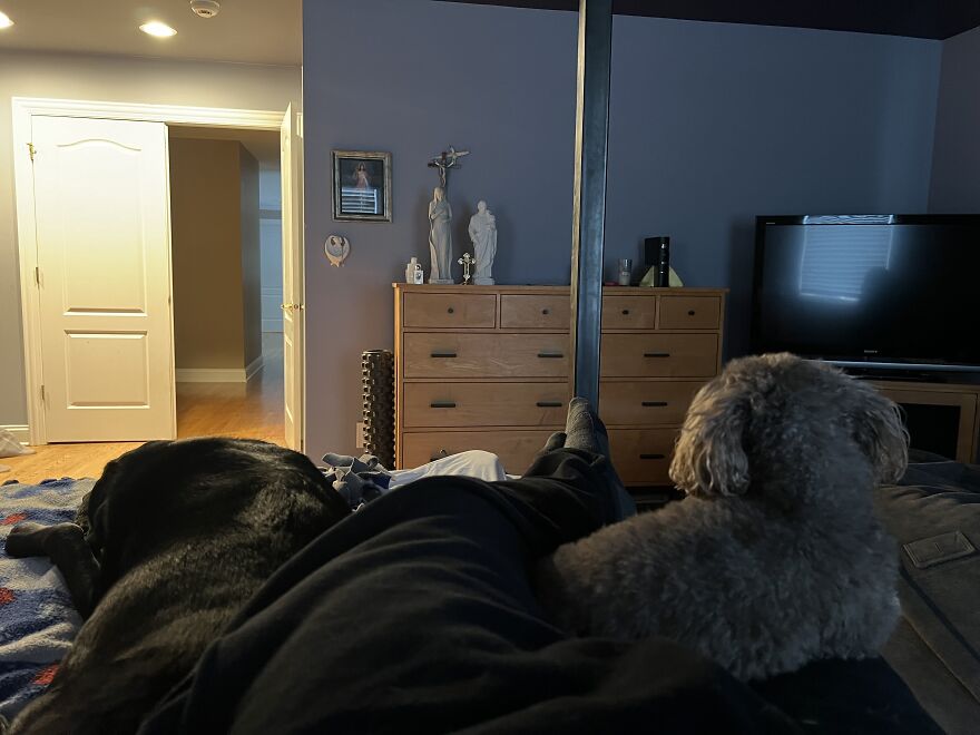 My Velcro Puppies Are Everything To Me!
