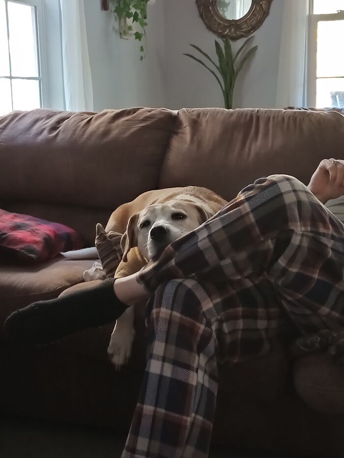 This Old Lady. We've Been Bffs For Over A Decade And She's The Most Beautiful Thing In My Life