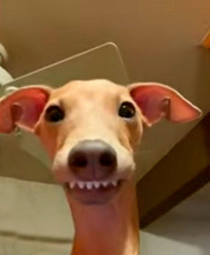 Not Mine, But Wish It Was