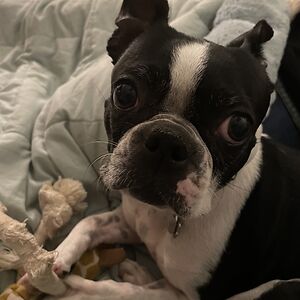 kierankiehn44 avatar