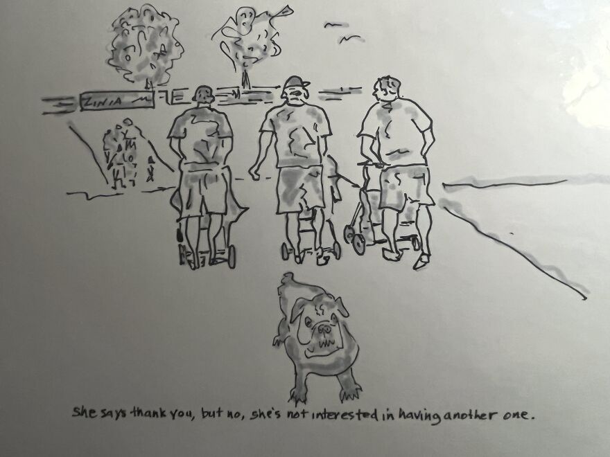 Boompan&rsquo;s Toons