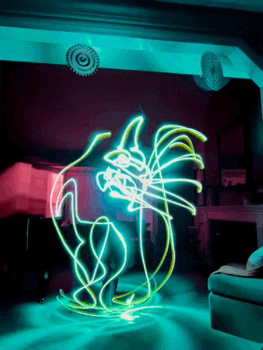 Cat Light Drawing