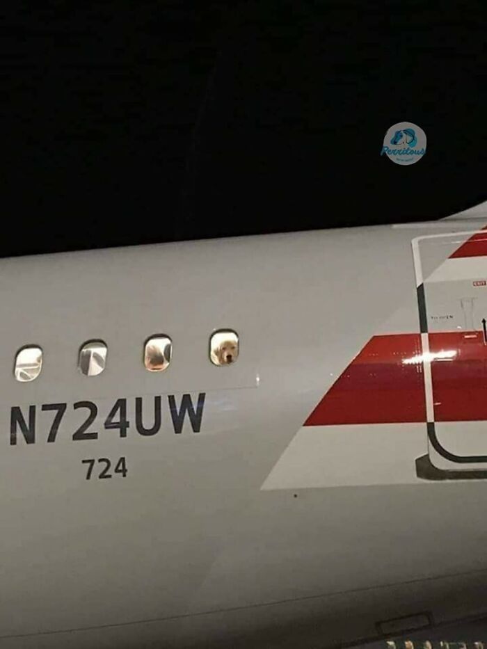 Important Animal Images (New Pics)