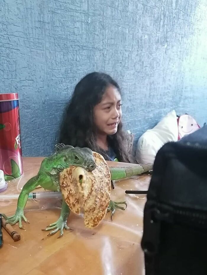 Important Animal Images (New Pics)