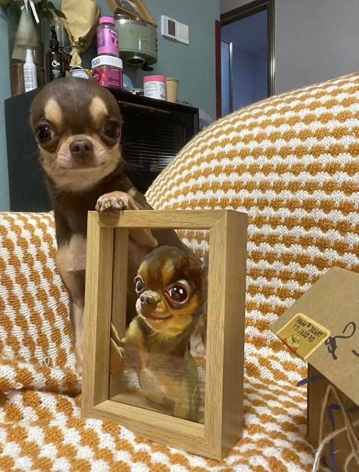 Important Animal Images (New Pics)