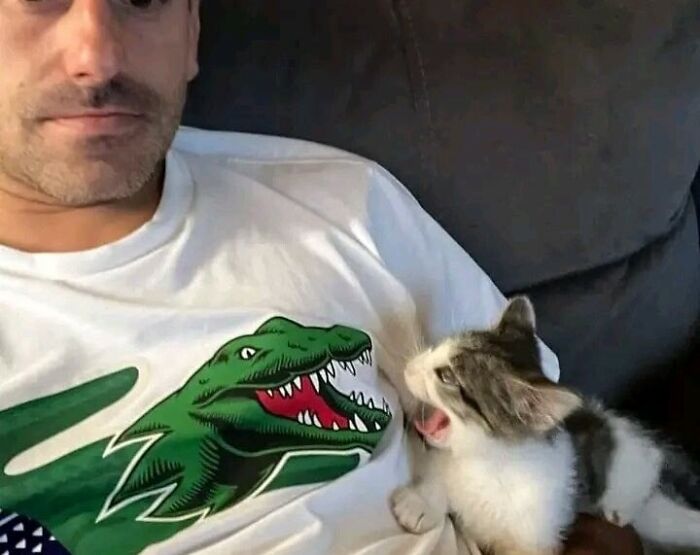 Important Animal Images (New Pics)