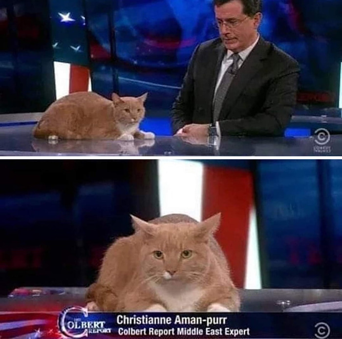 Important Animal Images (New Pics)