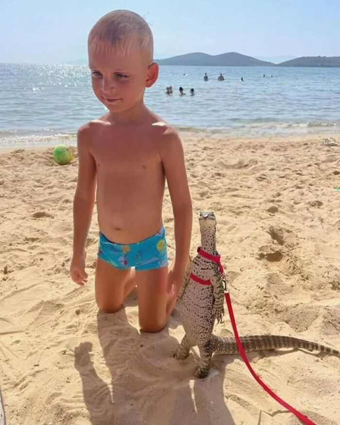 Important Animal Images (New Pics)