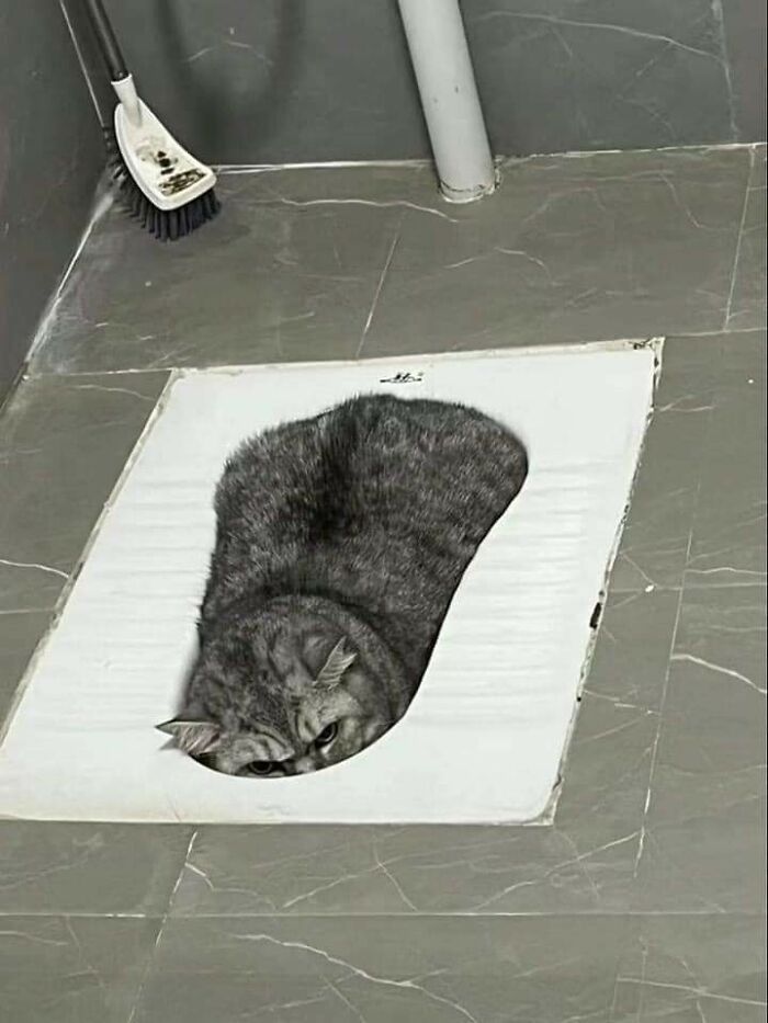 Important Animal Images (New Pics)