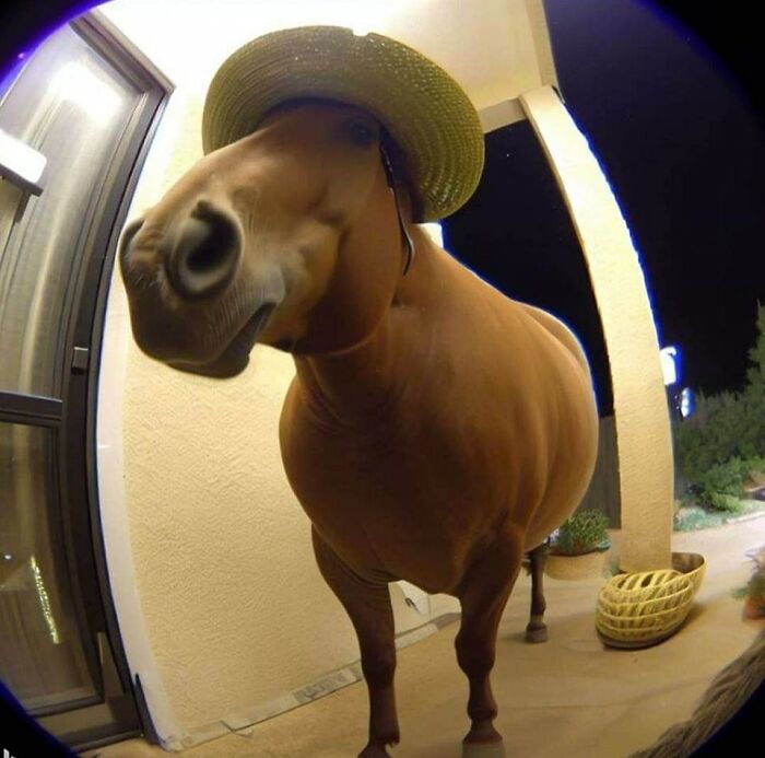 Important Animal Images (New Pics)