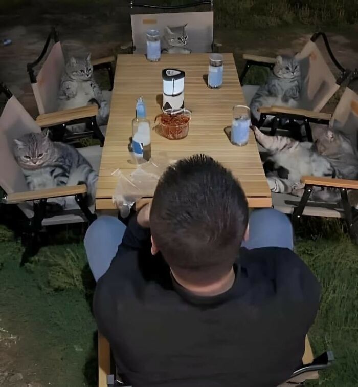 Important Animal Images (New Pics)