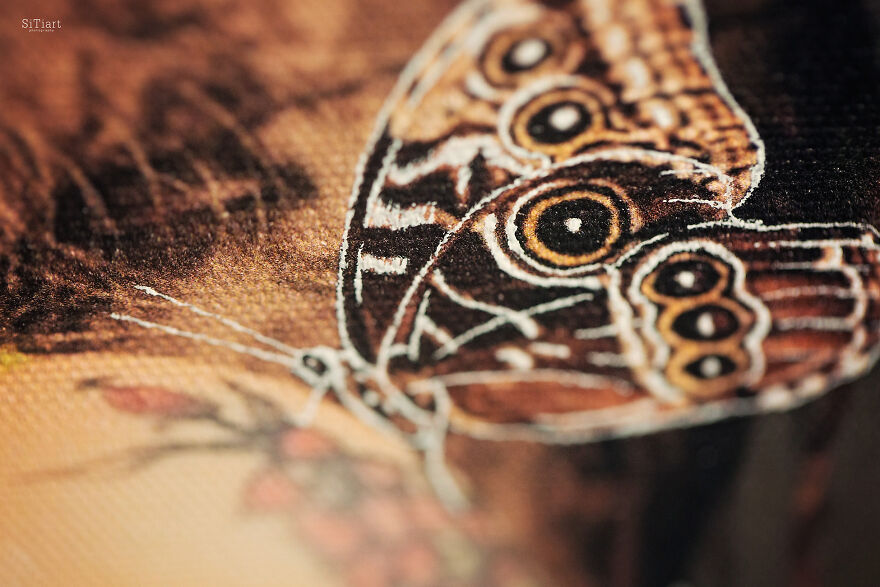 Love Speaks: The Cycle Of 12 Works