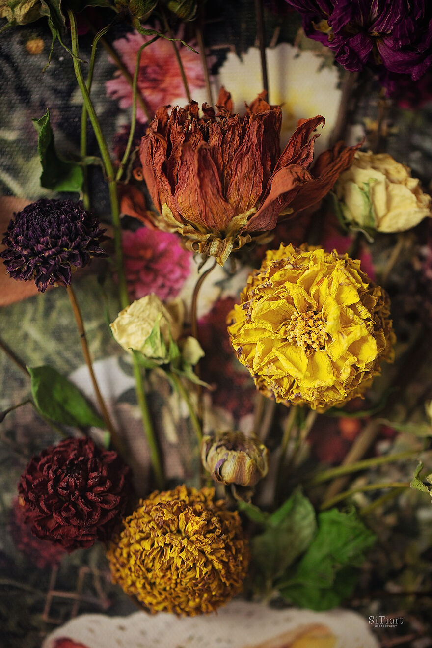 Love Speaks: The Cycle Of 12 Works