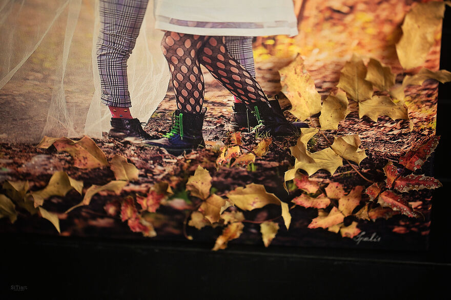 Love Speaks: The Cycle Of 12 Works