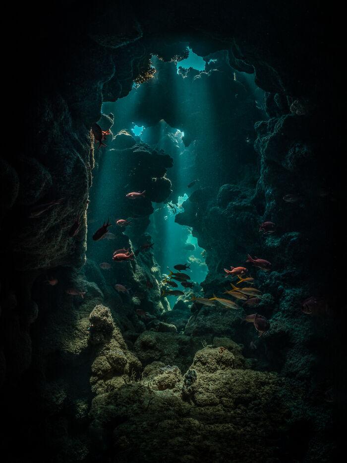 Underwater cave illuminated by sunlight beams with colorful fish swimming, showcasing winning nature images in 2023 photography awards.