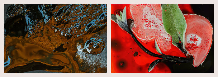 Abstract nature close-up images showcasing textures and colors from the 2023 International Photography Awards winning collection.